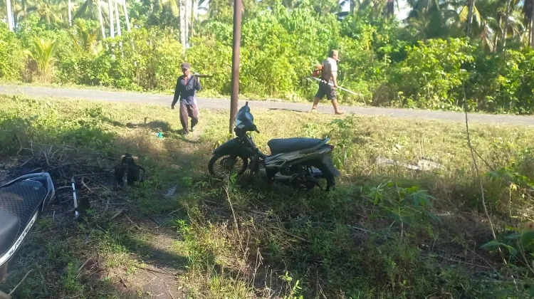Pemerintah Kabaruan Lakukan Pembersihan Bahu Jalan Desa