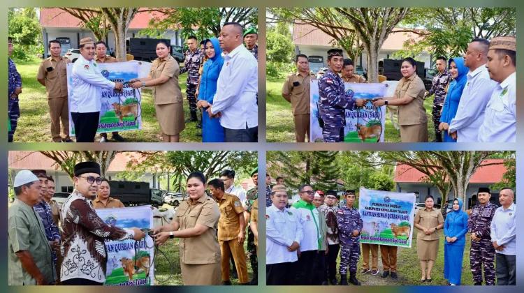 Pemkab Talaud Serahkan Hewan Kurban Idul Adha 1447H