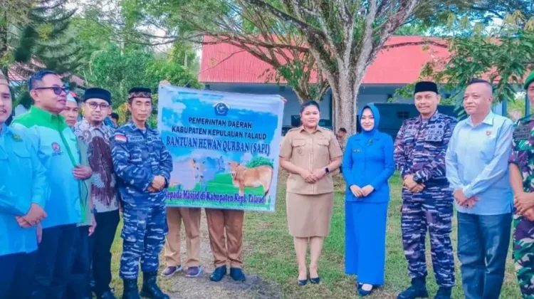 Sinergitas Pemda Talaud dan Lanal Melonguane Salurkan Hewan Kurban
