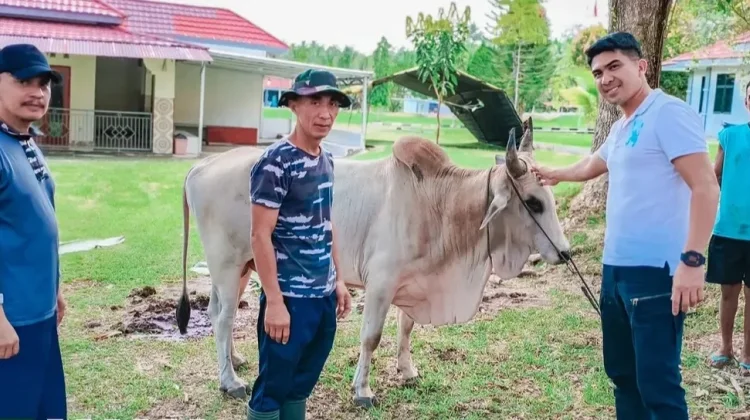 Iduladha 1447 H, Lanal Melonguane Bagikan Daging Kurban ke Masyarakat