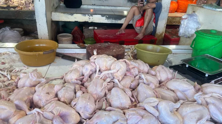 Harga Daging Segar Naik di Pasar Melonguane