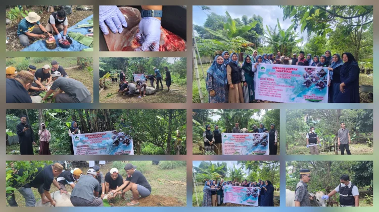 Sapi Qurban MCN Aya Sofya Melonguane Didistribusikan