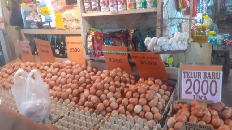 Terkini, Informasi Harga Pangan dan Bapok di Manado