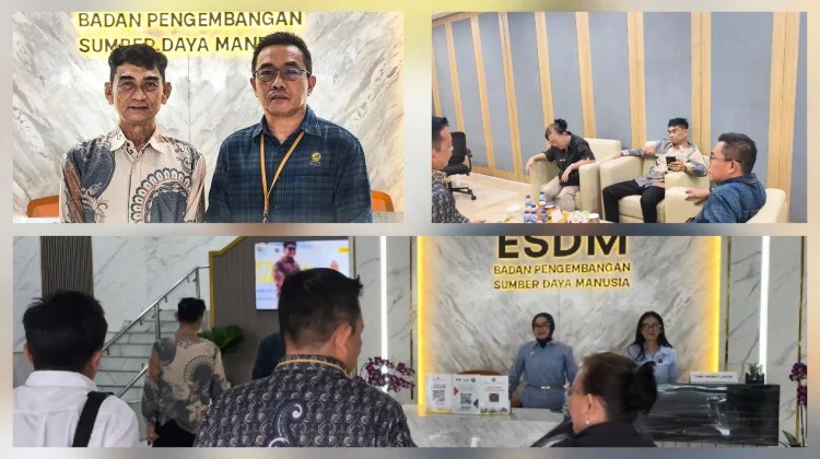 Bupati Talaud Audiensi dengan Kementerian ESDM Perkuat Sinergi