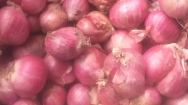 Harga Bawang Merah Naik di Talaud, Tembus Rp.90.000 Per Kilogram