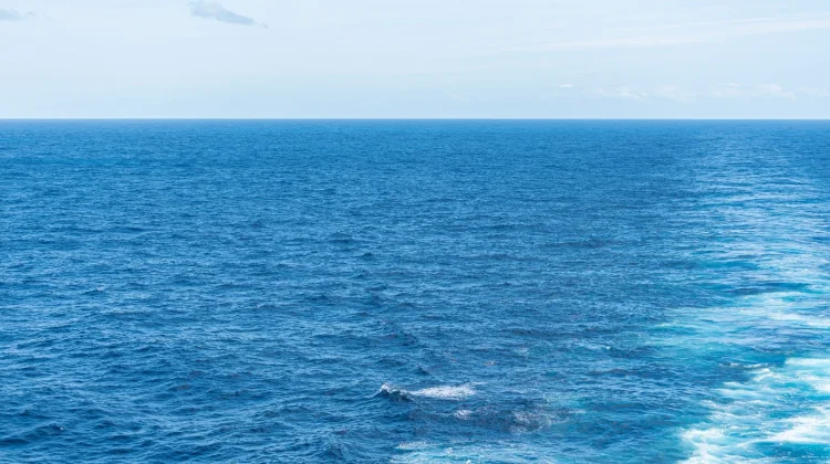Hari Laut Sedunia, Momentum Menjaga Kelestarian Ekosistem Laut