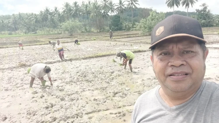 Pemkab Talaud Pacu Penanaman Pani