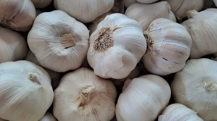 Harga Bawang Putih di Talaud Berangsur-angsur Turun