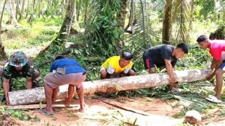 Babinsa Bantu Pembuatan Jembatan di Jalan Produksi Petani