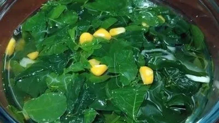 Sayur Katuk Kaya Nutrisi, Bisa Menunjang Kesehatan Tubuh