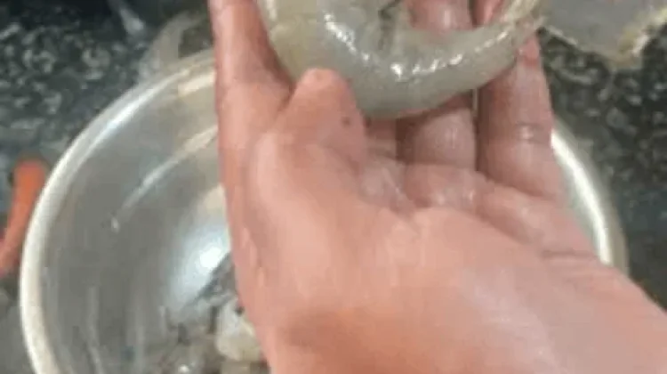 Konsumsi Udang Sehat Bagi Tubuh dengan Porsi Tetap Wajar