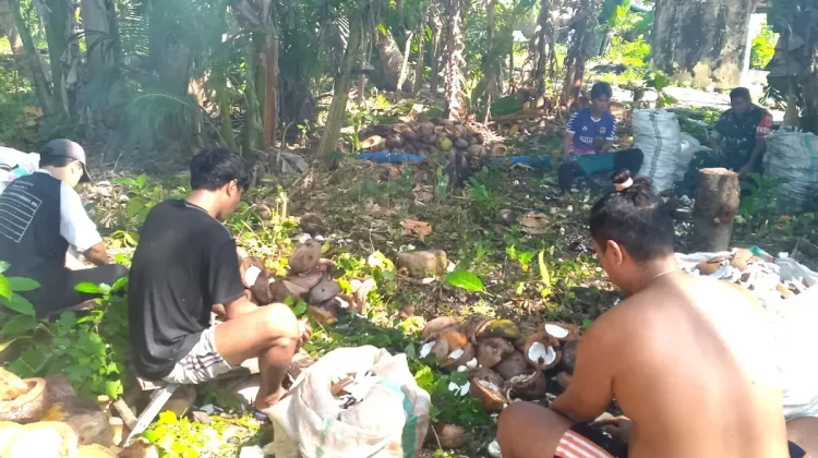 Babinsa Bantu Warga Mengelolah Buah Kelapa