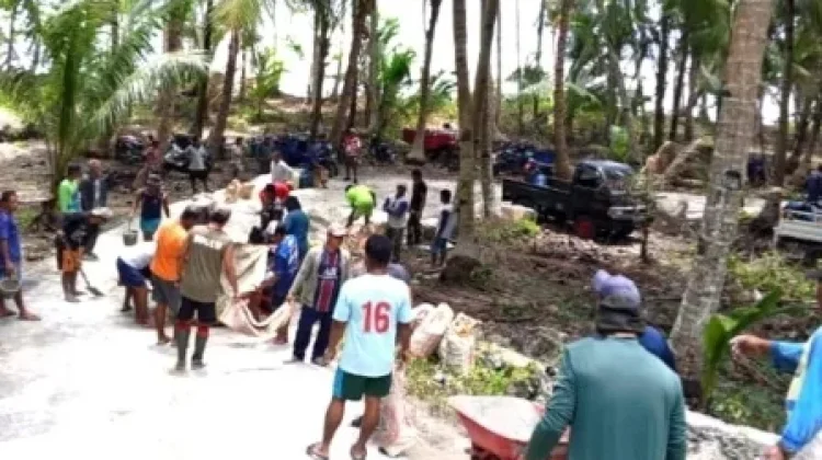 Babinsa Bantu Warga Panen Kelapa