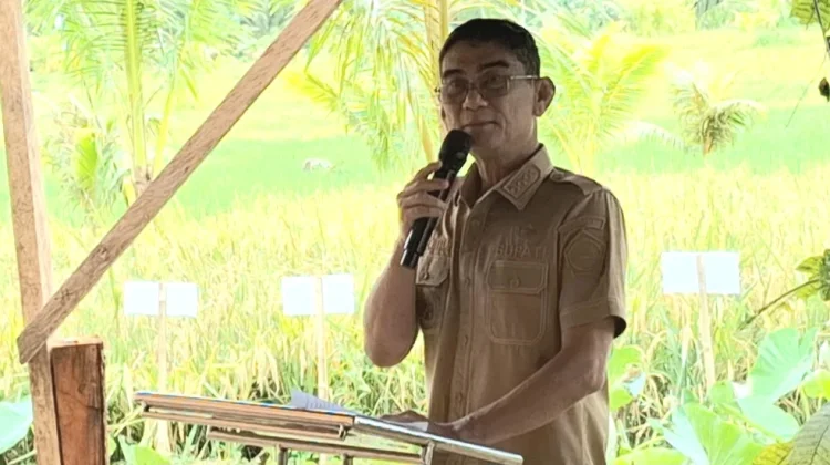 Bupati Talaud Ajak Petani Ambela Tingkatkan Produksi Beras