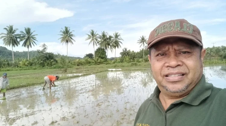 Komoditas Perkebunan Jadi Penyumbang Terbesar PDRB Kabupaten Kepulauan Talaud