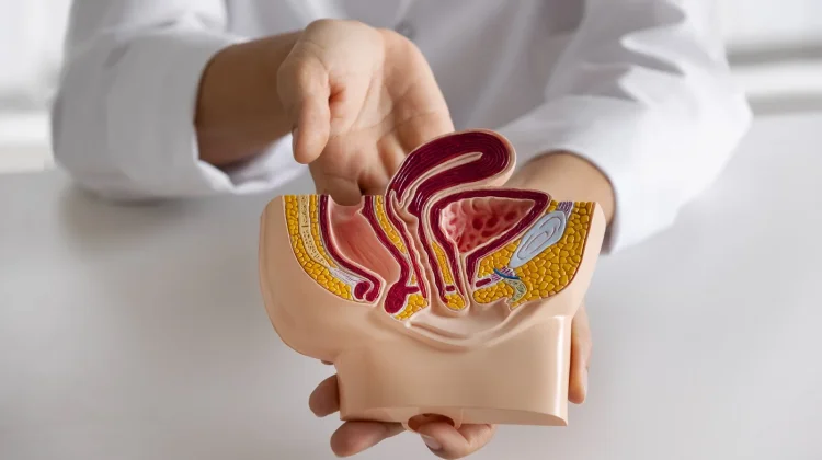 Infeksi Menular Seksual hingga Pembesaran Prostat Jadi Penyebab Epididimitis