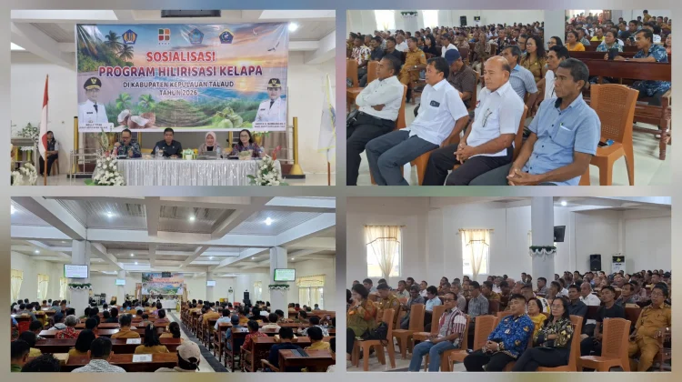 Kemenkeu dan Kementan Gelar Sosialisasi Hilirisasi Kelapa di Talaud