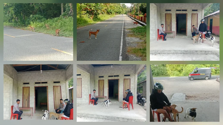 Anjing Sering Kejar Warga, Polsek Melonguane Imbau Pemilik Kandangkan Peliharaan