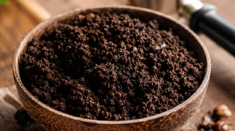 Manfaat Ampas Kopi untuk Kulit, Rambut, dan Tanaman