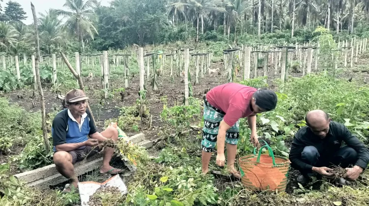 DKPP Talaud Perkuat Peran Penyuluh Pertanian Dampingi Petani