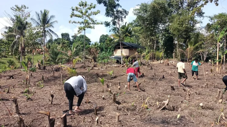 Pertanian Jadi Sektor Unggulan Desa Damau