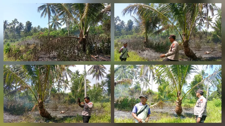 Langkah Cepat Polsek Beo Tangani Kebakaran Lahan di Kebun Nungin Desa Resduk