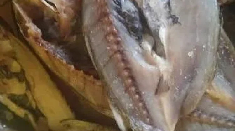 Nelayan Desa Taduwale Mengolah Ikan Garam Menjadi Sumber Ekonomi