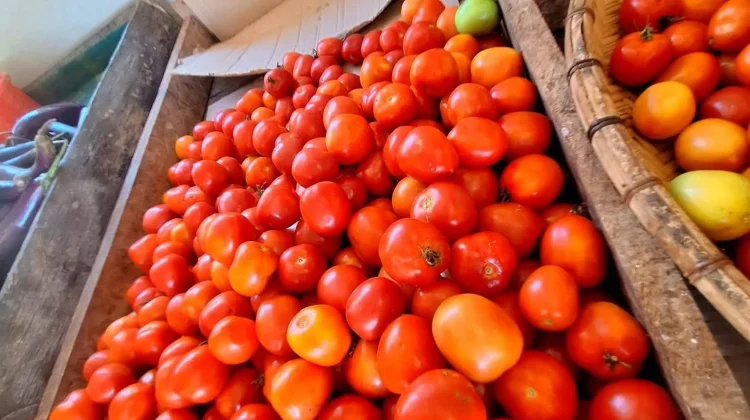 Harga Tomat di Pasar Melonguane Naik Menjadi Rp10 Ribu per Kilogram