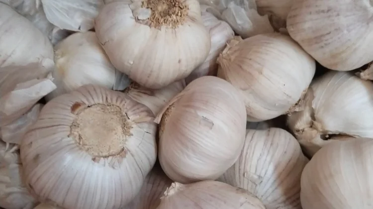 Harga Bawang Putih Turun