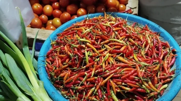 Harga Cabai di Pasar Melonguane Kembali Naik Menjadi Rp75 Ribu per Kilogram