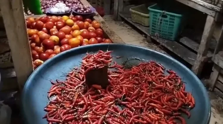 Harga Cabai di Pasar Melonguane Naik Signifikan, Tembus Rp100 Ribu per Kilogram