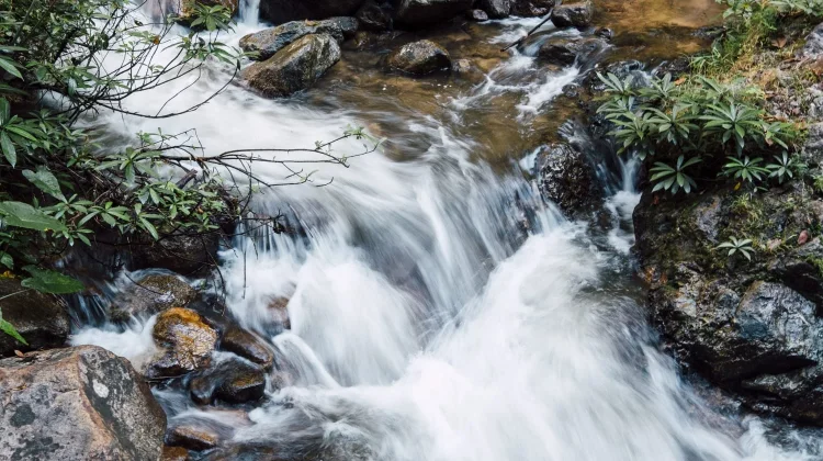 World Water Week, Momentum Jaga Masa Depan Air
