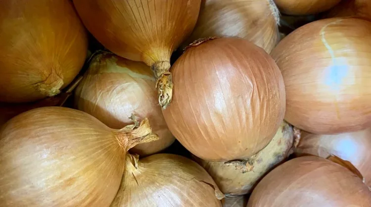 Manfaat Bawang Bombay, Pelengkap Masakan yang Kaya Nutrisi