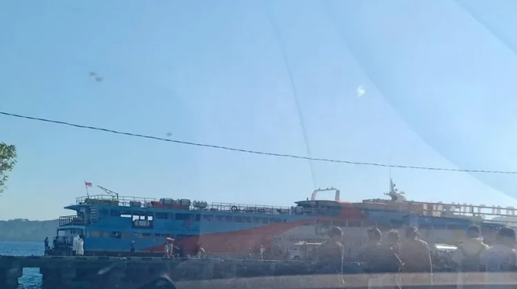 Cuaca dan Gelombang Laut Pengaruhi Harga Pakan Ternak Naik di Talaud