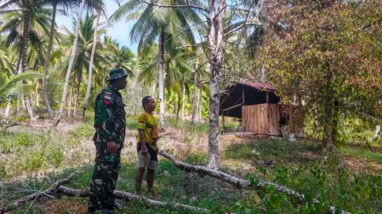 Babinsa Kabaruan Tinjau Perkebunan Birang Cegah Kebakaran