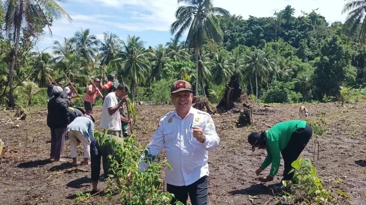 DKPP Talaud Salurkan Bantuan Hortikultura untuk Tingkatkan Ekonomi Petani