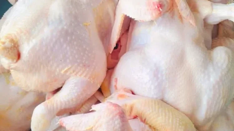 Harga Ayam Broiler Beku di Pasar Lirung Naik