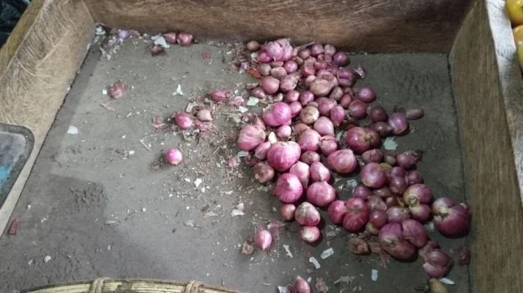 Harga Bawang Merah di Pasar Melonguane Naik Kepulauan Talaud – Harga