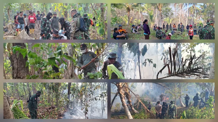 Tim Gabungan dan 500 Warga Padamkan Karhutla 111 Hektar di Damau