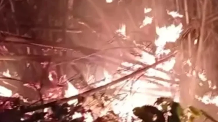Pemerintah dan Masyarakat Damau Gotong Royong Padamkan Kebakaran Hutan dan Lahan