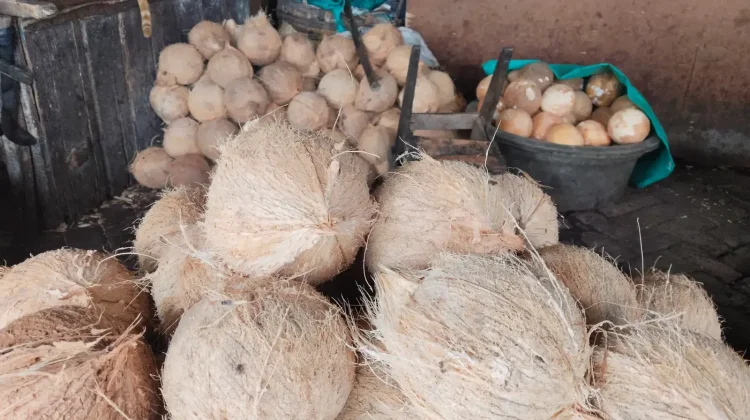 Menyegarkan dan Kaya Manfaat, Kelapa Cukur Jadi Pilihan Favorit Masyarakat