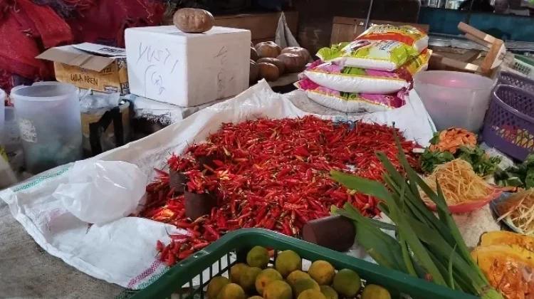 Harga Cabai di Pasar Lirung Talaud Melonjak hingga Rp200 Ribu per Kilogram