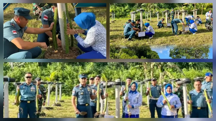 Penanaman Buah Naga di Lanal Melonguane Perkuat Ketahanan Pangan