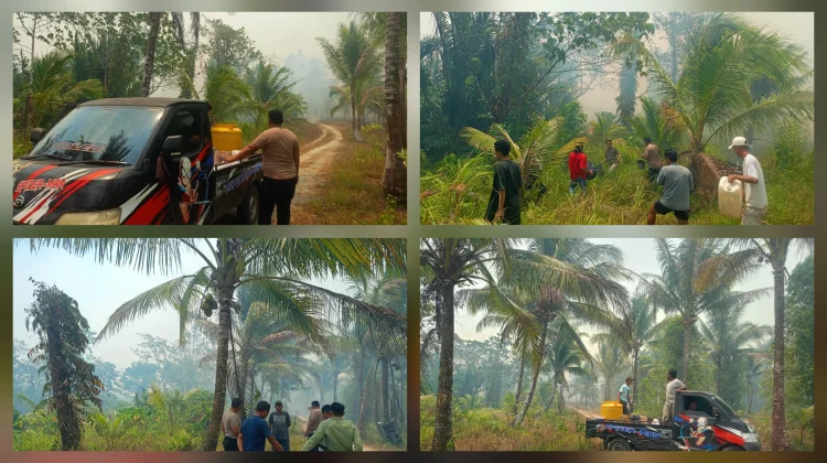 Karhutla Hanguskan 15 Hektar Lahan di Mandarawang Rainis, Api Masih Membesar