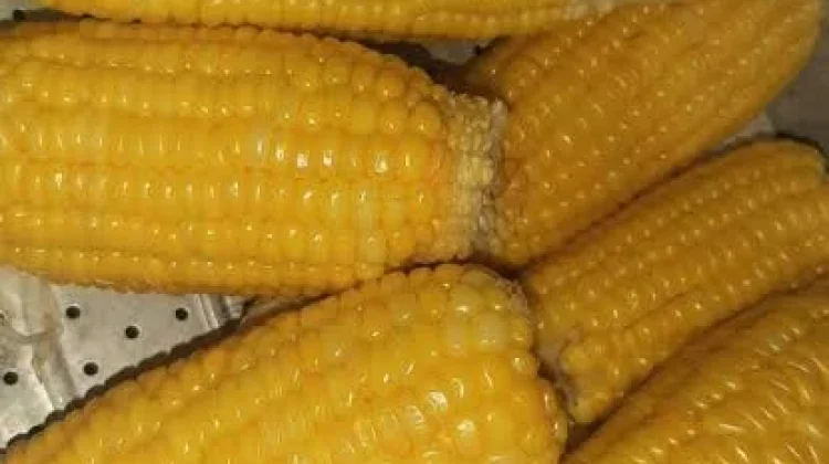 Manfaat Makan Jagung Rebus, Sederhana tetapi Kaya Nutrisi
