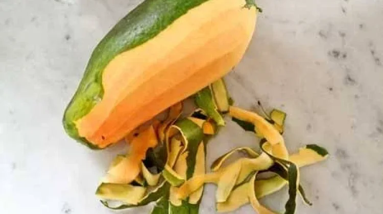 Kulit Buah Pepaya juga Punya Potensi Manfaat untuk Kesehatan