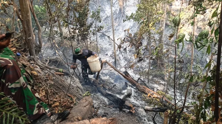 Kebakaran Hanguskan Setengah Hektare Lahan Kebun Tadawa Desa Peret