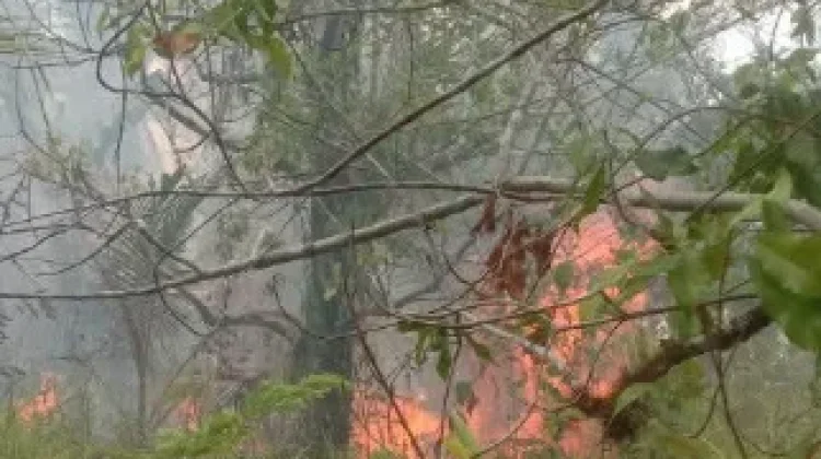 Kebakaran Hanguskan Dua Hektare Lahan di Desa Niampak dan Niampak Utara