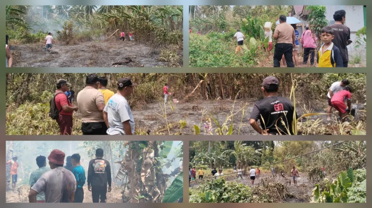 Kebakaran Kebun di Belakang Rudis Puskesmas Damau Berhasil Dipadamkan