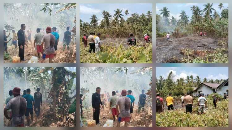 Polisi - TNI Bersama Warga Damau Kolaborasi Padamkan Kebakaran Kebun